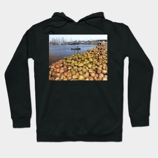 colorized vintage photo of port ay prince coconuts Hoodie